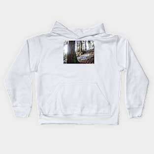 forest "troll" in the snow Kids Hoodie